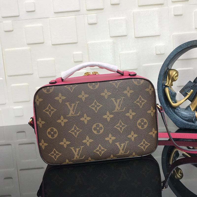 Louis Vuitton Saintonge M43557