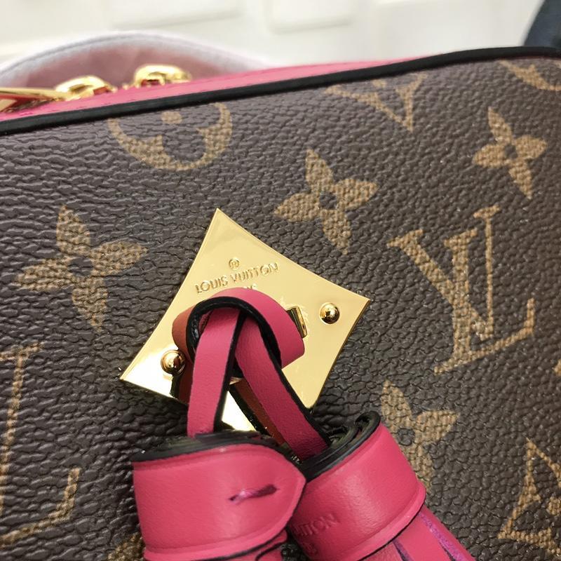 Louis Vuitton Saintonge M43557